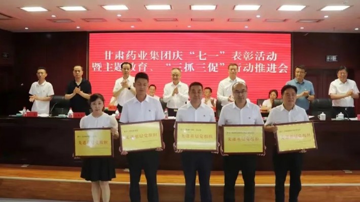 甘肅藥業(yè)集團(tuán)科技創(chuàng)新研究院黨支部榮獲“先進(jìn)基層黨組織”稱號！